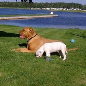 Meet your Posher, Darlene